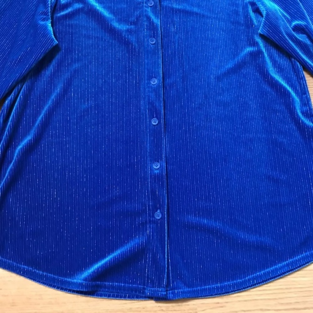 Royal Blue Velvet Button-up Blouse | Large | Soft Surroundings | Silver Stripes - Picture 10 of 16